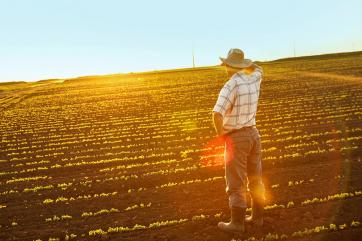 За январь-апрель доля прибыльных компаний АПК в России выросла на 1 п.п.